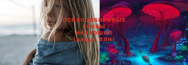 твердый Вяземский