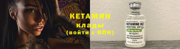 твердый Вяземский