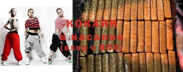 твердый Вяземский
