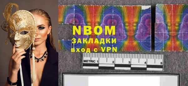 твердый Вяземский