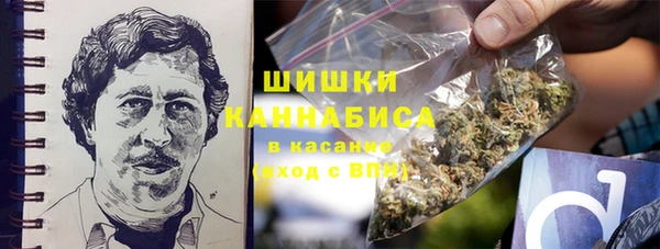 твердый Вяземский